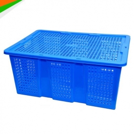 Sóng nhựa đựng trái cây