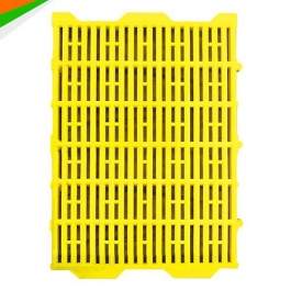 Tấm nhựa lót sàn chuồng chó mèo