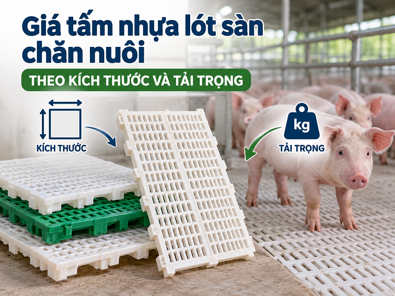 Giá tấm nhựa lót sàn chăn nuôi theo kích thước và tải trọng