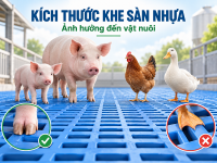 Chọn tấm nhựa lót sàn chuồng heo theo giai đoạn nuôi
