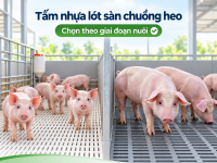 Ảnh hưởng của kích thước khe sàn nhựa chăn nuôi