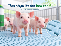 Chọn kích thước khe tấm nhựa lót sàn chuồng gà