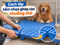 Cách chuẩn bị nền lắp sàn nhựa PVC và vinyl